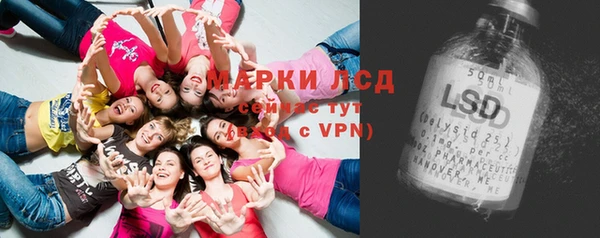 спайс Беломорск