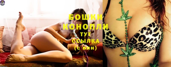 дживик Белокуриха