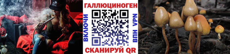 купить наркотики цена  Волосово  Псилоцибиновые грибы Psilocybine cubensis 